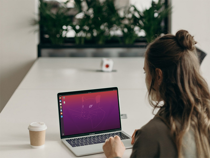 Réinitialiser ou modifier un mot de passe sous Linux
