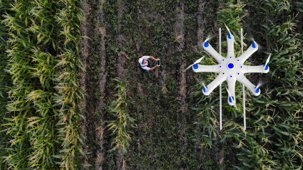 3 domaines dans lesquels le drone peut servir